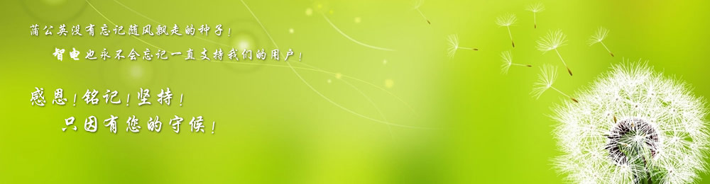 感謝有您!智電才能堅(jiān)持到今天!